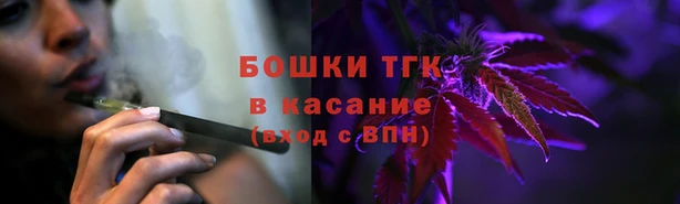 ПСИЛОЦИБИНОВЫЕ ГРИБЫ Абаза