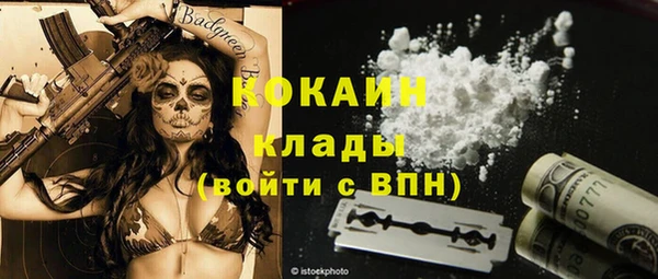 ПСИЛОЦИБИНОВЫЕ ГРИБЫ Абаза