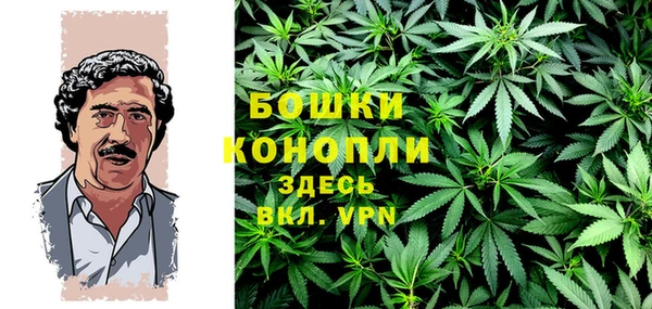 ПСИЛОЦИБИНОВЫЕ ГРИБЫ Абаза
