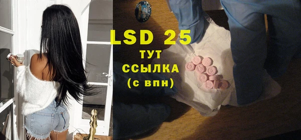 ПСИЛОЦИБИНОВЫЕ ГРИБЫ Абаза